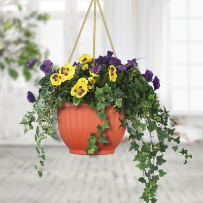 Ceiling Hanging Flower Pots (Self Watering)